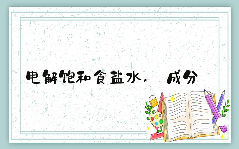 电解饱和食盐水  成分 